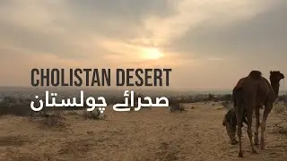 Camping in Desert | Cholistan Desert