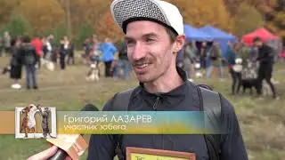 "Домашние животные" : "Быстрый пёс"