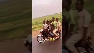 Доминикана / Мощные 😂 / Dominican Channel