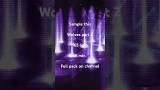 Wolves part 2 loop #samplethis #producer #musicproducer #samplepack #loopkit