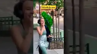bushman prank 