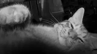 Billy  Listening To Bach