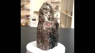 Black Tourmaline & Gold Mica - 219
