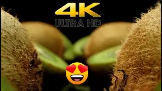 Kiwi fruit  macro close up uhd - 4k video