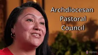 DSF in Action: Archdiocesan Pastoral Council