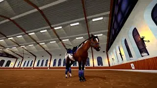 Chody konia appaloosa || SSO || By - Sandria~||