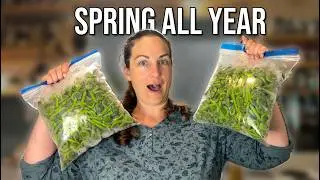 This Is How We Freeze Fiddleheads For Long Term Storage
