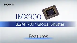 IMX900 | 1/3.1
