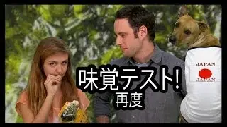 JAPANESE PEOPLE MAILED US MORE SNACKS! - Food Feeder