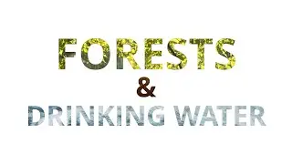 Forests and Drinking Water