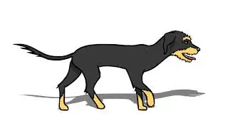 dog walking (side) - minduina