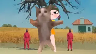 Кот шнапи мешает смотреть мультики