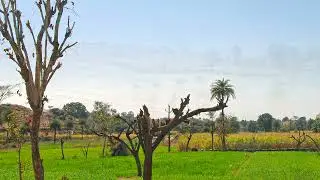 Beauty of Rajasthan | Incredible India