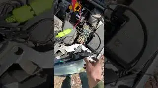 What happens if you reverse the battery polarity on a Ford Focus 2?