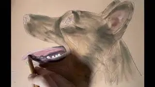 How to Draw a Dog’s Open Mouth in Pastels