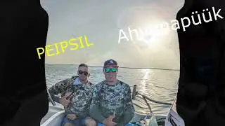 Ahvenapüük Peipsil 27.08.2022