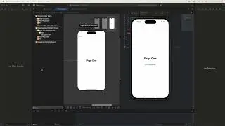How To Custom Image&Title Navigation Back - Swift