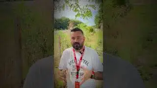 Дизель! Старый конь или король трассы? 👑🚙