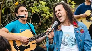 en el patio: Plumas - Cerca del Sol