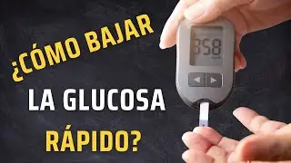 5 Fácil Estrategias a Seguir.