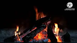 Немає слів і сліз не стало...
