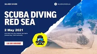 🇪🇬 Egypt: 🤿 Diving in Red Sea - Makadi Bay, Sahl Hasheesh