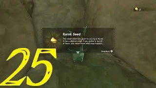 Rospro Pass Korok Seeds, Part 1 | Zelda: Tears of the Kingdom | 100% Walkthrough (