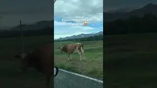 Россия природа Республика Хакасия😍⛰