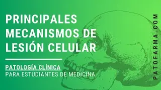 PATOLOGÍA: Mecanismos de Lesión Celular