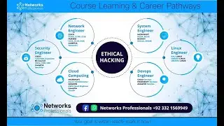 Intro to Networks Professionals  & Cisco Networking Academy
