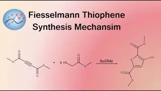 Fiesselmann Thiophene Synthesis Mechanism | Organic Chemistry