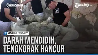 FAKTA MENGERIKAN KEMATIAN KORBAN GUNUNG VESUVIUS DI KOTA POMPEII