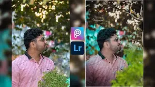 Birds Photo Editing Tautorial || PicsArt  Photo Editing ||  bird Photo Editing Picsart ND Lightroom