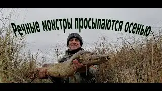 Я ее вычислил и поймал. Рыбалка 5 10 22