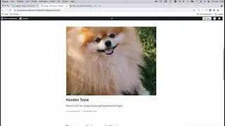 Skapa din hemsida i Wordpress - Del 2