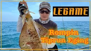DQ Rompin tiprun eging/ jigging
