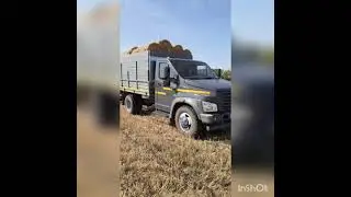 Пресс 0870, Уралец 2200, прессуем солому, погрузка.