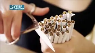 ТАМЕКИ  ЖӨНҮНДӨ КЫЗЫКТУУ ФАКТЫЛАР