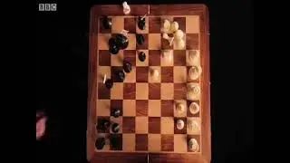 The right way to play chess (probably)