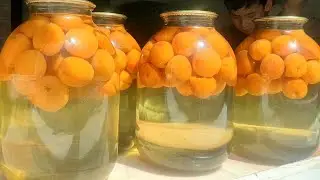 Õrikdan kompot tayyorlash. Абрикосовый компот