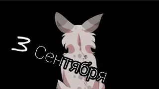 Коты воители. Клип[800п.] - 3 сентября