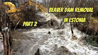 Epic Beaver Dam Excavator Showdown in Estonia Part 2