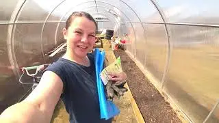 Открываем тепличный сезон! Высадила рассаду! Опять снег!