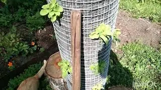 НЕОБЫЧНАЯ вертикальная клумба из СЕТКИ!