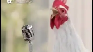 Петухиии
