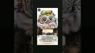 фестиваль магии Magic Market 21-22 августа. Москва.