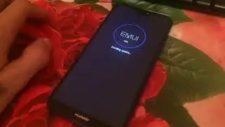 Обновление HUAWEI P20 lite ANE-LX1 C10 на Android 9.1.0. 132 (C10E3R1P6)