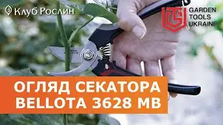 Secateurs for harvesting Bellota 3628 MB (Spain)