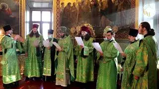 Кондак Недели ваий. Д. Соловьев. 25.04.21.
