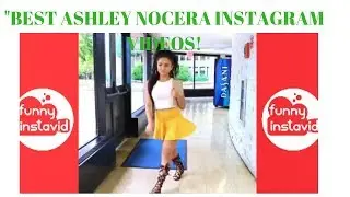 Best of Ashley Nocera Funny Compilation - Ashley Vines